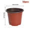 G0Ks50-20pcs-Plastic-Flowerpots-Simple-Nursery-Seedling-Pot-Flowers-Seed-Breeding-Planters-Container-Box-Garden-Supplies.jpg