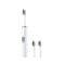 Premium Electric Toothbrush, Long-Lasting, Waterproof Oral Care for Adults