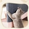 Self-Adhesive Cat Scratching Mat Reusable Cat Scratcher Sofa Tape for Furniture Protection, Scratch Board for Cats.
