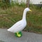 1Pcs Resin Goose Sculpture – Lifelike Goose Figurine for Home & Garden Decor, Office Desk Decoration, and Outdoor Tool R