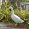 1Pcs Resin Goose Sculpture – Lifelike Goose Figurine for Home & Garden Decor, Office Desk Decoration, and Outdoor Tool R