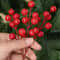 Christmas DIY Floral Wreath Ornament Artificial Berries Red Gold Silver Cherry Stamen Fake Berries 4