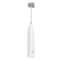 USB Rechargeable Mini Milk Frother Speed Coffee Frother and Electric Drink Mixer