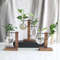 V5VCCreative-Glass-Desktop-Planter-Bulb-Vase-Wooden-Stand-Hydroponic-Plant-Container-Home-Tabletop-Decor-Vases.jpg
