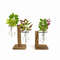 Fe9PTerrarium-Hydroponic-Plant-Vases-Vintage-Flower-Pot-Transparent-Vase-Wooden-Frame-Glass-Tabletop-Plants-Home-Bonsai.jpg