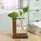 hQ2yTerrarium-Hydroponic-Plant-Vases-Vintage-Flower-Pot-Transparent-Vase-Wooden-Frame-Glass-Tabletop-Plants-Home-Bonsai.jpg