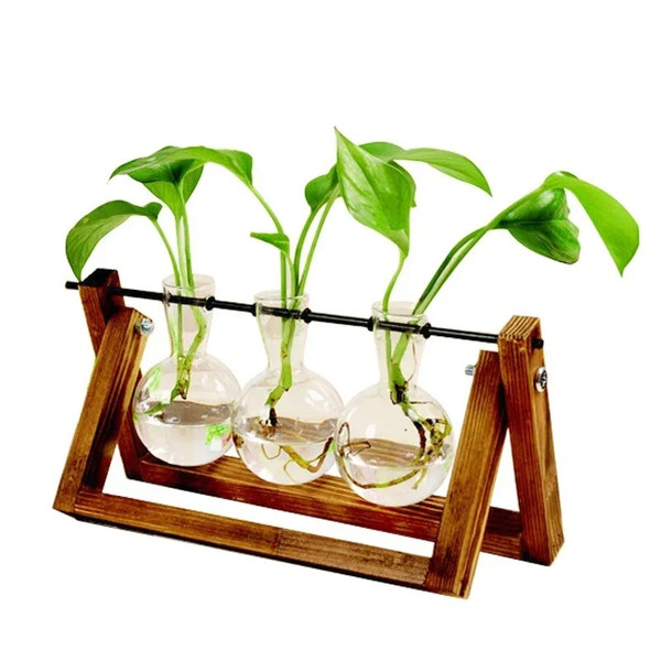 r0jnBonsai-Decor-flower-vase-Plant-Transparent-Vase-Wooden-Frame-vase-decoratio-Glass-Tabletop-Plant-flower-shaped.jpg