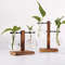 W3AcHydroponic-Plant-Terrarium-Vasevase-Decoration-Home-Glass-Bottle-Hydroponic-Desktop-Decoration-Office-Green-Plant-Small-Potted.jpg