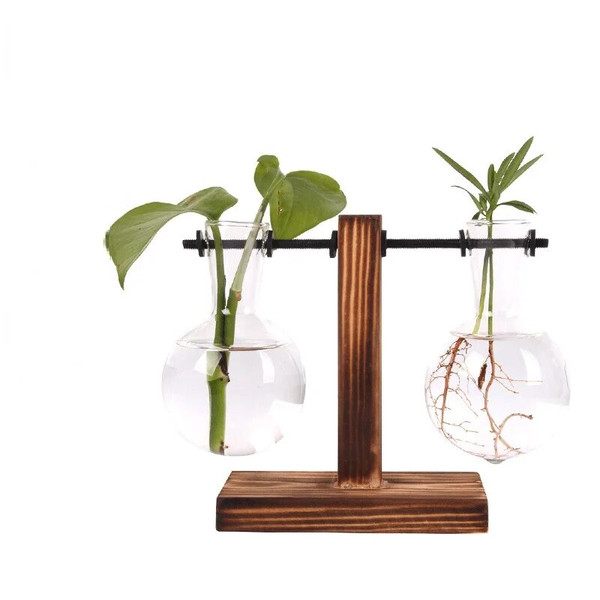 8Ug5Hydroponic-Plant-Terrarium-Vasevase-Decoration-Home-Glass-Bottle-Hydroponic-Desktop-Decoration-Office-Green-Plant-Small-Potted.jpg