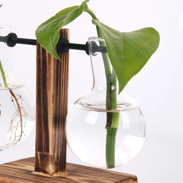 yDuRHydroponic-Plant-Terrarium-Vasevase-Decoration-Home-Glass-Bottle-Hydroponic-Desktop-Decoration-Office-Green-Plant-Small-Potted.jpg