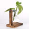 BhbIHydroponic-Plant-Terrarium-Vasevase-Decoration-Home-Glass-Bottle-Hydroponic-Desktop-Decoration-Office-Green-Plant-Small-Potted.jpg