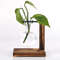 kQ9FHydroponic-Plant-Terrarium-Vasevase-Decoration-Home-Glass-Bottle-Hydroponic-Desktop-Decoration-Office-Green-Plant-Small-Potted.jpg