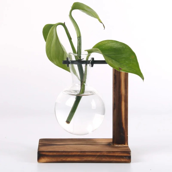 kQ9FHydroponic-Plant-Terrarium-Vasevase-Decoration-Home-Glass-Bottle-Hydroponic-Desktop-Decoration-Office-Green-Plant-Small-Potted.jpg