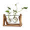 bZAOHydroponic-Plant-Vases-Glass-Vase-Vintage-Bonsai-Flower-Pot-Terrarium-Tabletop-Tray-Wooden-Frame-Home-Decor.jpg
