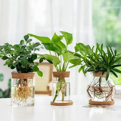 Transparent Hydroponic Flower Pot: Home Vase Decor for Office Desktop Green Plants - Soilless Plant Pots