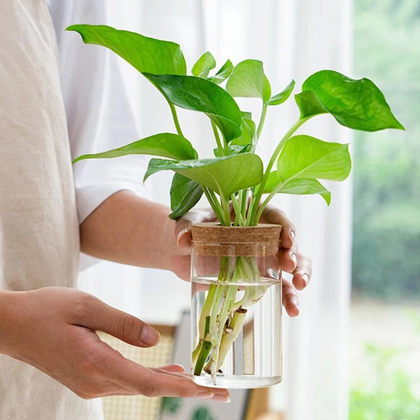X6GRHydroponic-Plant-Home-Vase-Decor-Transparent-Hydroponic-Flower-Pot-Soilless-Plant-Pots-Office-Desktop-Green-Plants.jpg