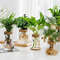 ZafzHydroponic-Plant-Home-Vase-Decor-Transparent-Hydroponic-Flower-Pot-Soilless-Plant-Pots-Office-Desktop-Green-Plants.jpg