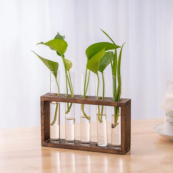 5NCuHydroponic-Plants-Container-with-Wood-Frame-Transparent-Glass-Test-Tube-Vase-Flower-Pot-Home-Tabletop-Bonsai.jpg