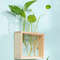 dRg6Hydroponic-Plants-Container-with-Wood-Frame-Transparent-Glass-Test-Tube-Vase-Flower-Pot-Home-Tabletop-Bonsai.jpg