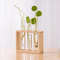Nm4uHydroponic-Plants-Container-with-Wood-Frame-Transparent-Glass-Test-Tube-Vase-Flower-Pot-Home-Tabletop-Bonsai.jpg