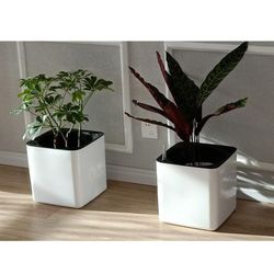 Modern White Self-Watering Planter with Water Indicator | Decorative Pot for Houseplants, Flowers, Herbs