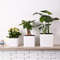 UP4eWhite-Self-Watering-Planter-Water-Indicator-Modern-Decorative-Planter-Pot-for-all-House-Plants-Flowers-Herbs.jpg