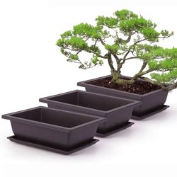 Plastic Bonsai Pots: 5 Sets with Square Trays for Flower & Succulent Plants - Planter Training Pots