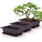rVrq5Sets-With-Tray-Plastic-Bonsai-Plants-Pot-Square-For-Flower-Succulent-Plastic-Plant-Pots-With-Square.jpg