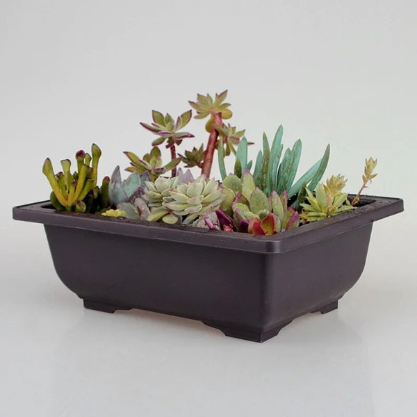 BxLt5Sets-With-Tray-Plastic-Bonsai-Plants-Pot-Square-For-Flower-Succulent-Plastic-Plant-Pots-With-Square.jpg