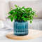 Dq8YSucculent-Hydroponic-Plants-Pot-Self-Watering-Flowerpot-Indoor-Mini-Planter-Pots-Tabletop-Flower-Pot-Home-Garden.jpg