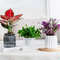 WqtrSucculent-Hydroponic-Plants-Pot-Self-Watering-Flowerpot-Indoor-Mini-Planter-Pots-Tabletop-Flower-Pot-Home-Garden.jpg