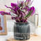 Vgp1Succulent-Hydroponic-Plants-Pot-Self-Watering-Flowerpot-Indoor-Mini-Planter-Pots-Tabletop-Flower-Pot-Home-Garden.jpg