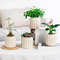 rLA4Succulent-Hydroponic-Plants-Pot-Self-Watering-Flowerpot-Indoor-Mini-Planter-Pots-Tabletop-Flower-Pot-Home-Garden.jpg