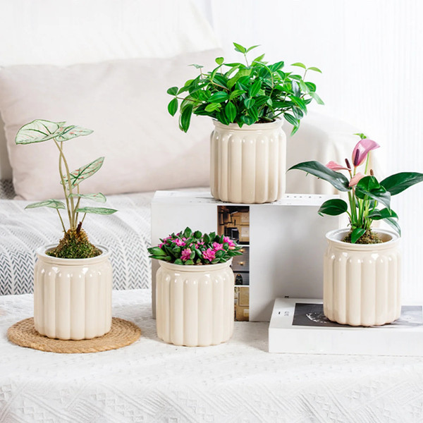 rLA4Succulent-Hydroponic-Plants-Pot-Self-Watering-Flowerpot-Indoor-Mini-Planter-Pots-Tabletop-Flower-Pot-Home-Garden.jpg