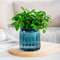 CIefSucculent-Hydroponic-Plants-Pot-Self-Watering-Flowerpot-Indoor-Mini-Planter-Pots-Tabletop-Flower-Pot-Home-Garden.jpg