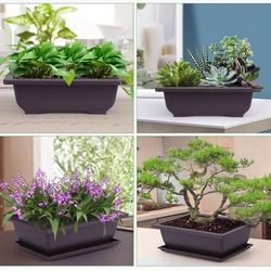 Square Plastic Bonsai Plant Pots with Trays for Flowers & Succulents: Ultimate Training Solution