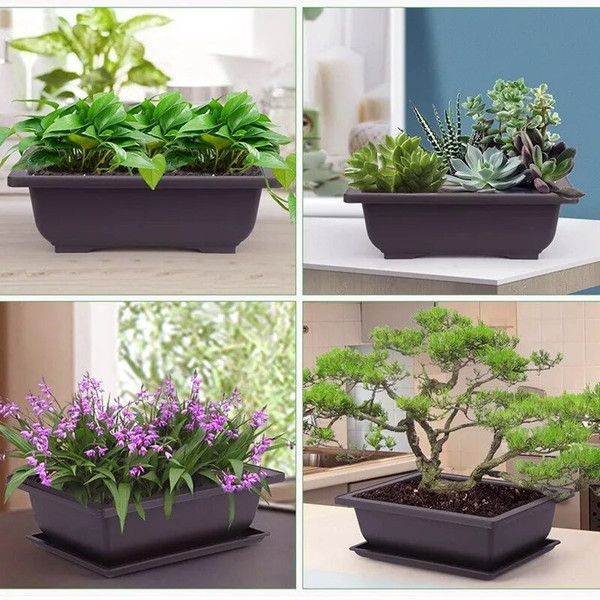 AwFYTraining-Pots-With-Tray-Plastic-Bonsai-Plants-Pot-Square-For-Flower-Succulent-Plastic-Plant-Pots-With.jpg