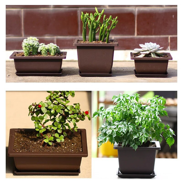uWyXTraining-Pots-With-Tray-Plastic-Bonsai-Plants-Pot-Square-For-Flower-Succulent-Plastic-Plant-Pots-With.jpg