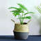 jt3rNew-Bamboo-Storage-Baskets-Foldable-Laundry-Straw-Patchwork-Wicker-Rattan-Seagrass-Belly-Garden-Flower-Pot-Planter.jpg
