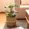 dfhgNew-Bamboo-Storage-Baskets-Foldable-Laundry-Straw-Patchwork-Wicker-Rattan-Seagrass-Belly-Garden-Flower-Pot-Planter.jpg