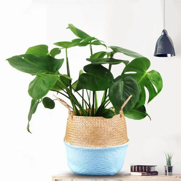 Mx4TNew-Bamboo-Storage-Baskets-Foldable-Laundry-Straw-Patchwork-Wicker-Rattan-Seagrass-Belly-Garden-Flower-Pot-Planter.jpg