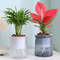 Us0f1Pc-Self-Watering-Flowerpot-Indoor-Succulent-Hydroponic-Plants-Pot-Mini-Planter-Pots-Fish-Tank-Tabletop-Home.jpg