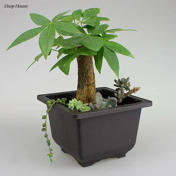 JN081PC-Square-Flower-Pot-Imitation-Plastic-Balcony-Pots-Flower-Bonsai-Bowl-Nursery-Basin-Planter-Imitation-Rectangle.jpg
