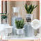 MXkgSelf-Watering-Planter-Pots-Flowerpot-Mini-Round-Design-Succulent-Plant-Pot-Indoor-Lazy-Flower-Pot-Garden.jpg