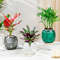 n2ehSelf-Watering-Planter-Pots-Flowerpot-Mini-Round-Design-Succulent-Plant-Pot-Indoor-Lazy-Flower-Pot-Garden.jpg