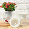xxvySelf-Watering-Planter-Pots-Flowerpot-Mini-Round-Design-Succulent-Plant-Pot-Indoor-Lazy-Flower-Pot-Garden.jpg