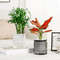 9hTQSelf-Watering-Planter-Pots-Flowerpot-Mini-Round-Design-Succulent-Plant-Pot-Indoor-Lazy-Flower-Pot-Garden.jpg