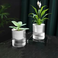 Mini Self-Watering Succulent Hydroponic Planter: Indoor Flower Pot for Bonsai Decor & Fish Tank Tabletop