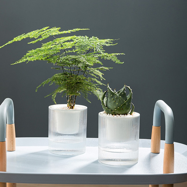 Csh5Self-Watering-Flowerpot-Indoor-Succulent-Hydroponic-Plants-Pot-Mini-Planter-Pots-Fish-Tank-Tabletop-Flower-Pot.jpg