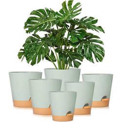 5-Pack 5-Inch Self-Watering Pots for Indoor Plants | Flower Pots with Drainage Holes and Wick Rope